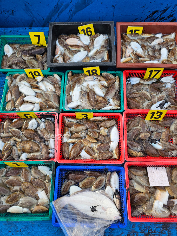 1791099347605.jpg