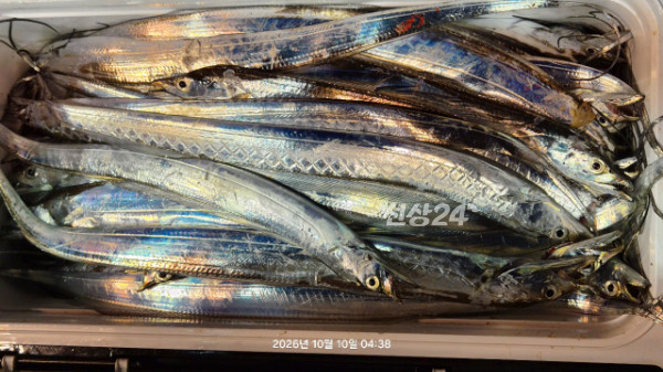 1004피싱_사진_20261010_6.jpg
