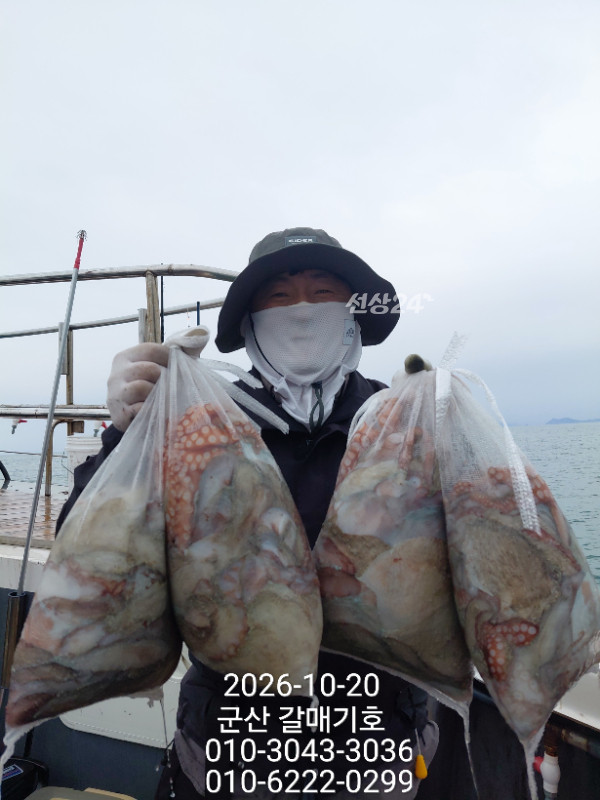 12513.jpg