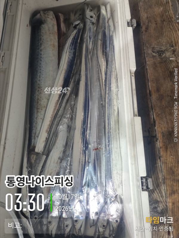 20261017_033056_글꼴-통영나이스피싱.jpg