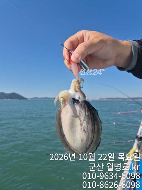 20122.jpg