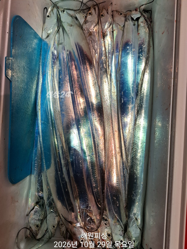 1000038937.jpg