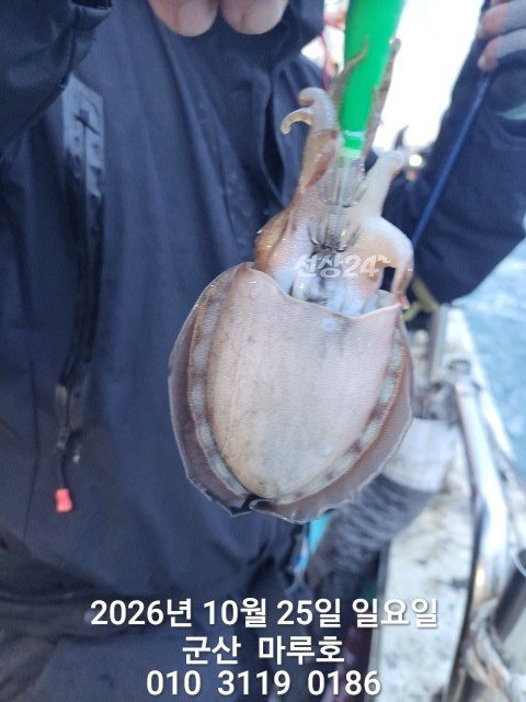 KakaoTalk_20261025_163308652_04.jpg
