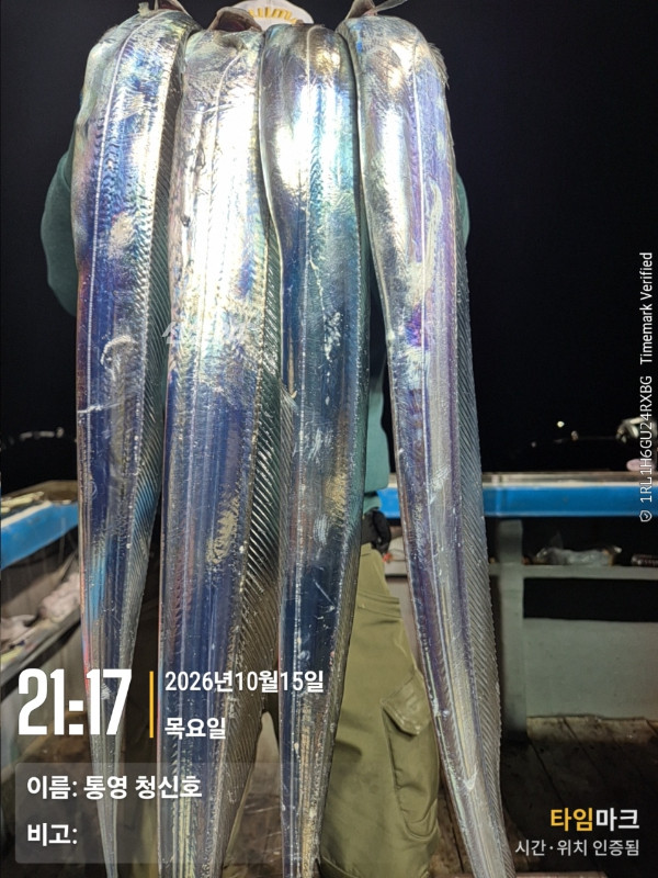 통영청신호입니다_사진_20261016_7.jpg