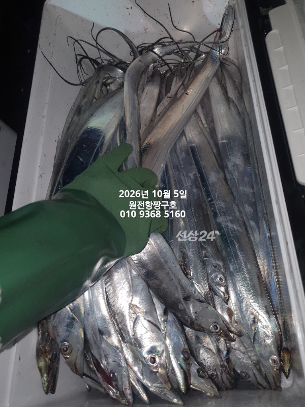 KakaoTalk_20261005_051425255_02.jpg