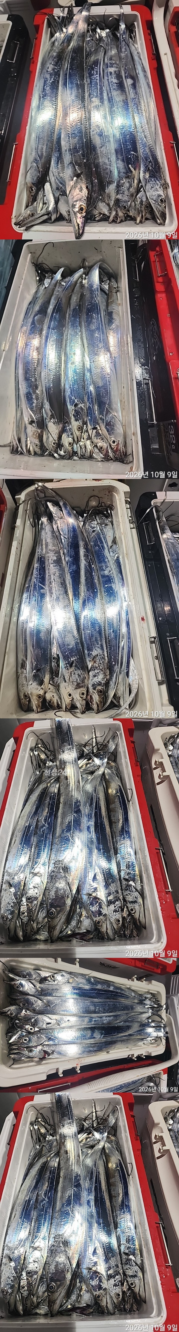 사진5.jpg