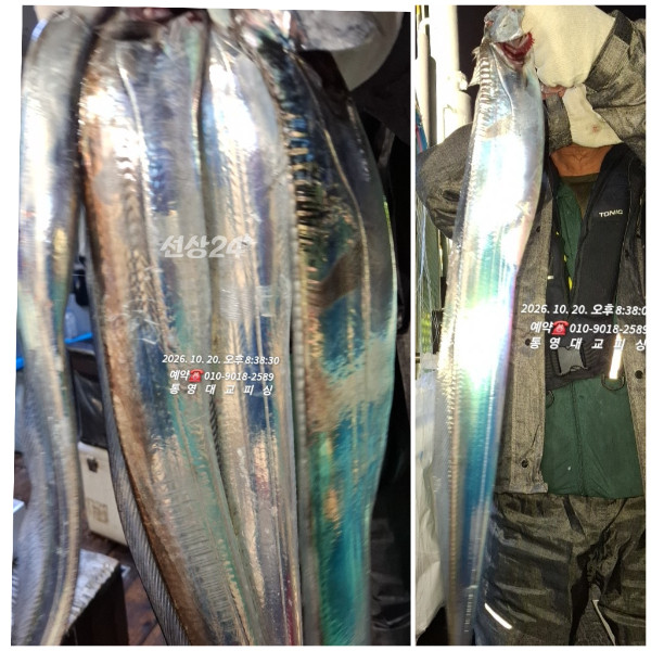 GridArt_20261021_121943064.jpg