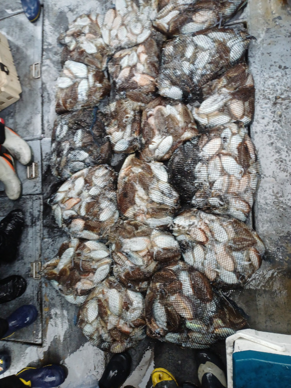 11144.jpg