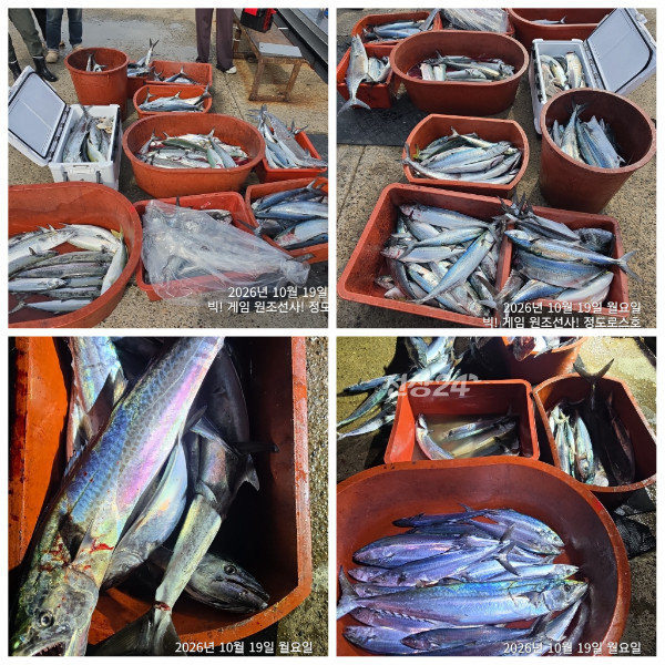 PhotoCollage_1792411505236.jpg