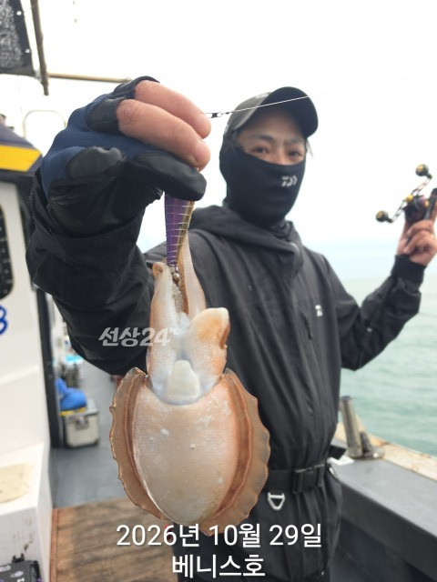 KakaoTalk_20261029_154428727_12.jpg