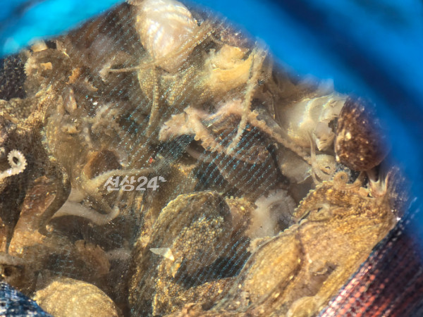 1791263384216.jpg