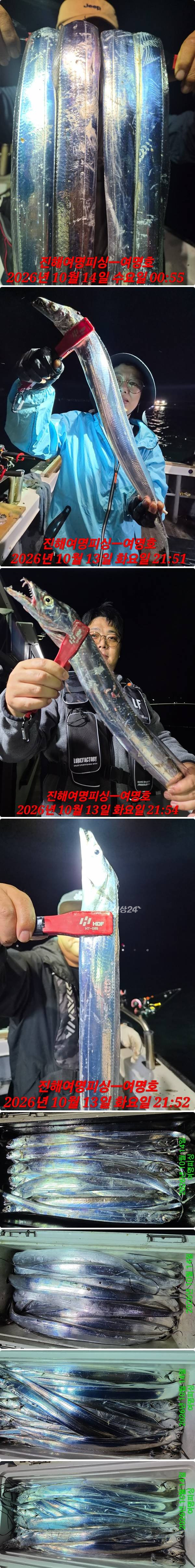 14일갈치중.jpg