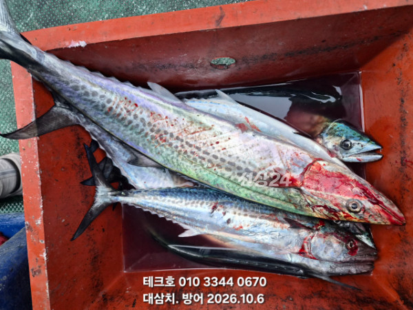 KakaoTalk_20261006_080624822_06.jpg