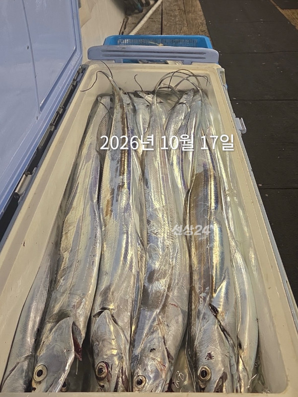 754F87E7-6E02-42F6-81B5-801D7F071D8B.jpeg