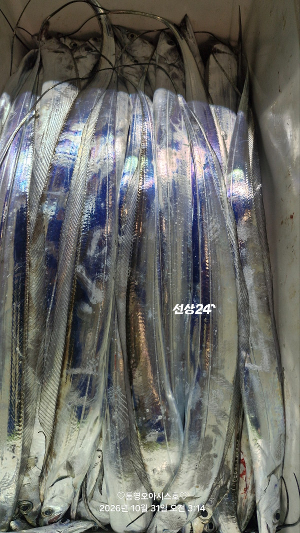 85500.jpg