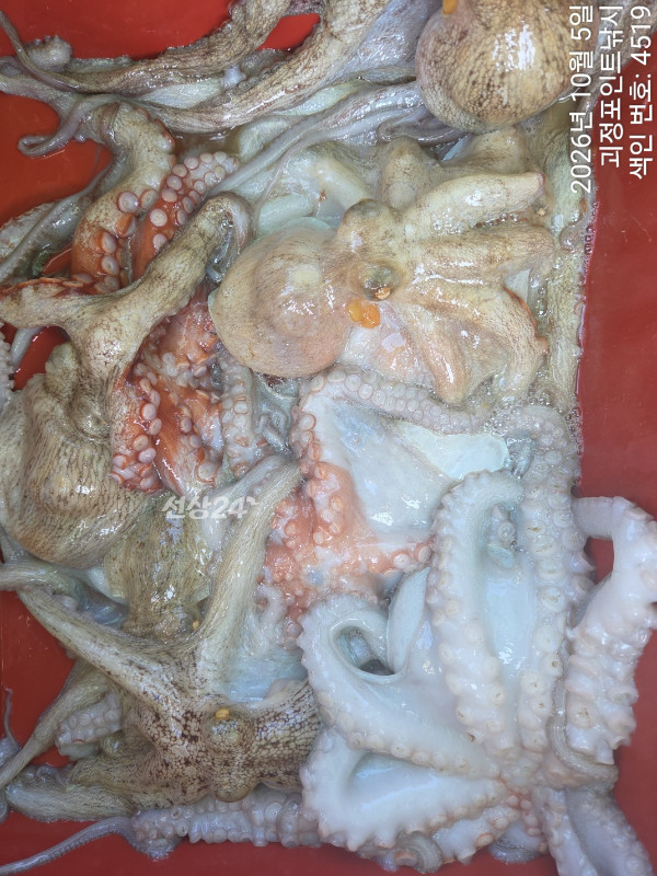KakaoTalk_20261005_172649510_09.jpg