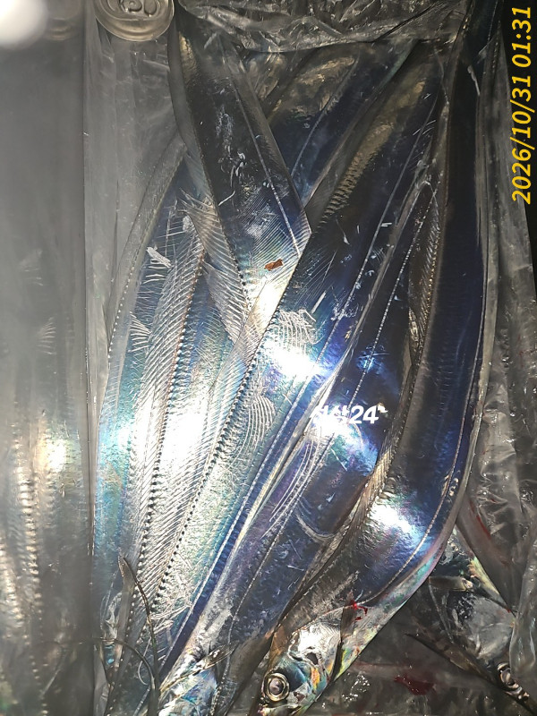 1000042760.jpg
