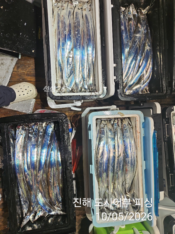 KakaoTalk_20261005_051530639_12.jpg
