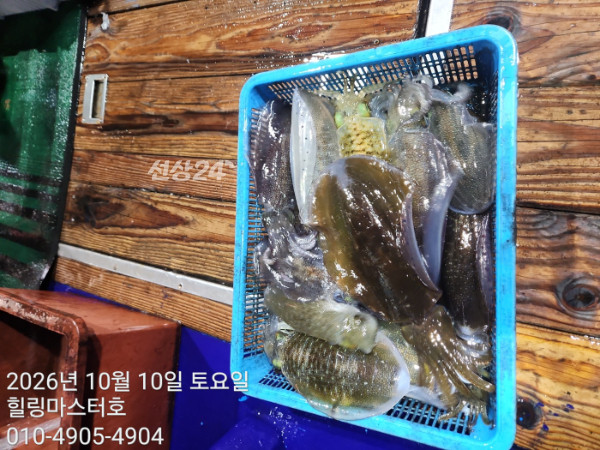 KakaoTalk_20261010_041557627_17.jpg
