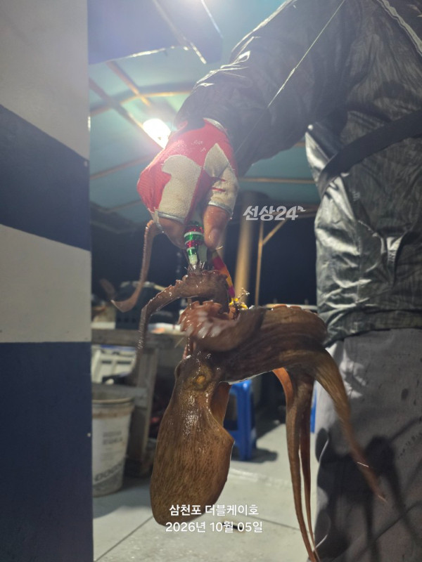 KakaoTalk_20261005_201445305.jpg