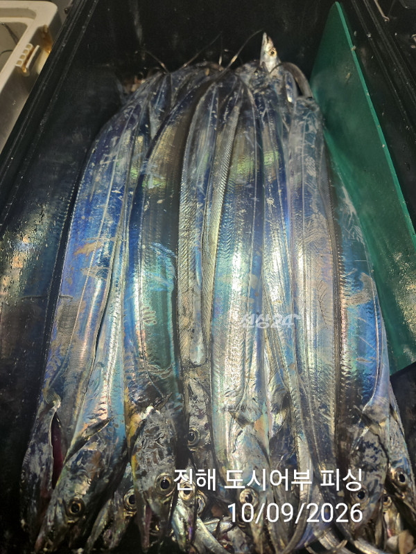 KakaoTalk_20261009_063157918_13.jpg