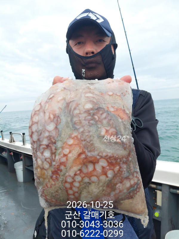 13043.jpg