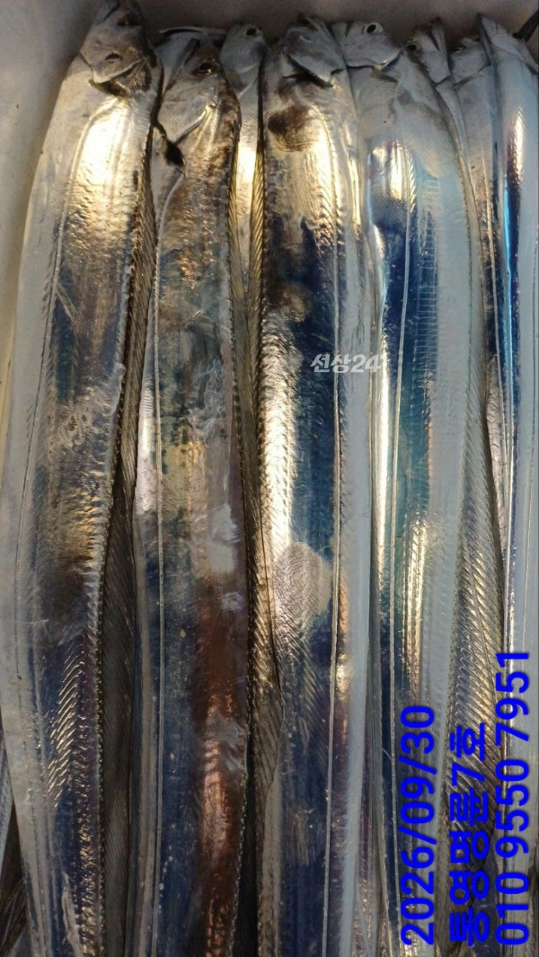 KakaoTalk_20260930_050704928_14.jpg