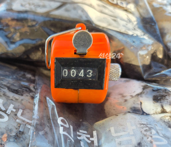 25231.jpg