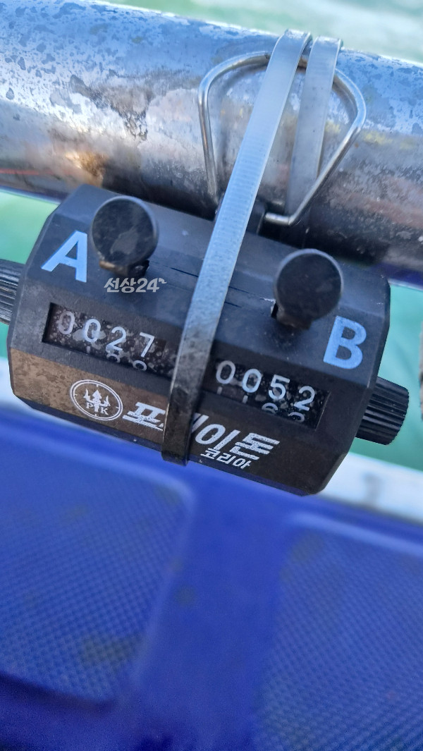 6615.jpg