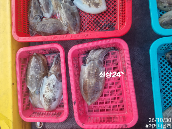 KakaoTalk_20261030_191917462_03.jpg