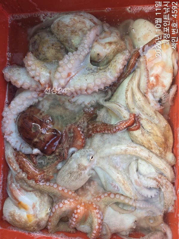 KakaoTalk_20261011_144041034_13.jpg
