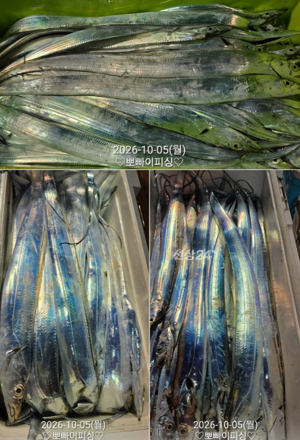 1000119066.jpg