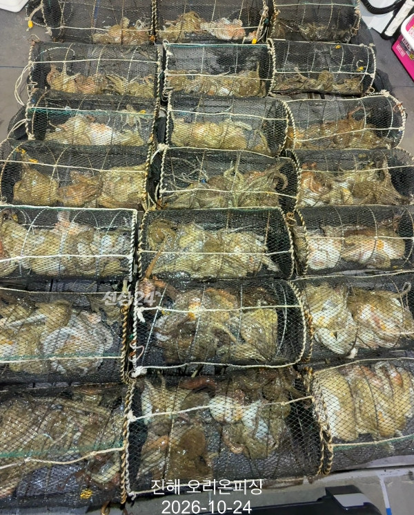 KakaoTalk_20261024_035819831.jpg