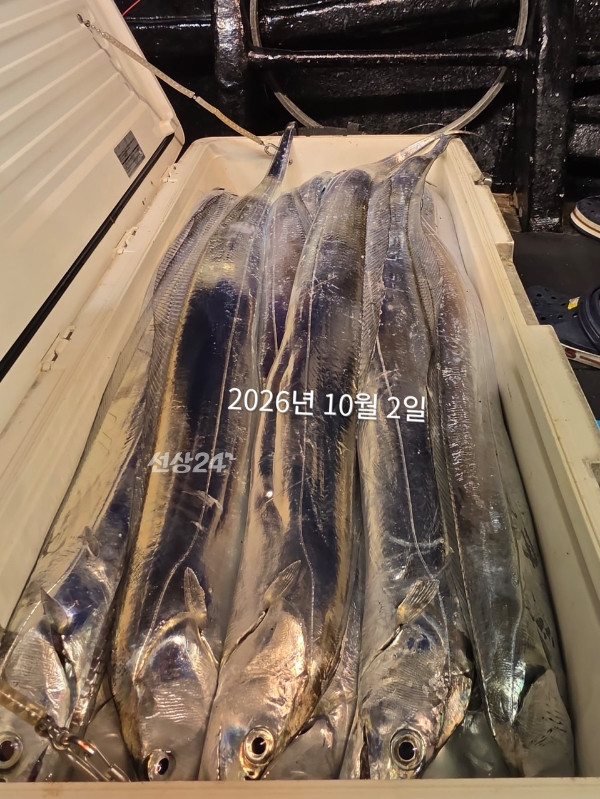 ABA24129-2D15-4CA8-BD74-6296683A5FDF.jpeg