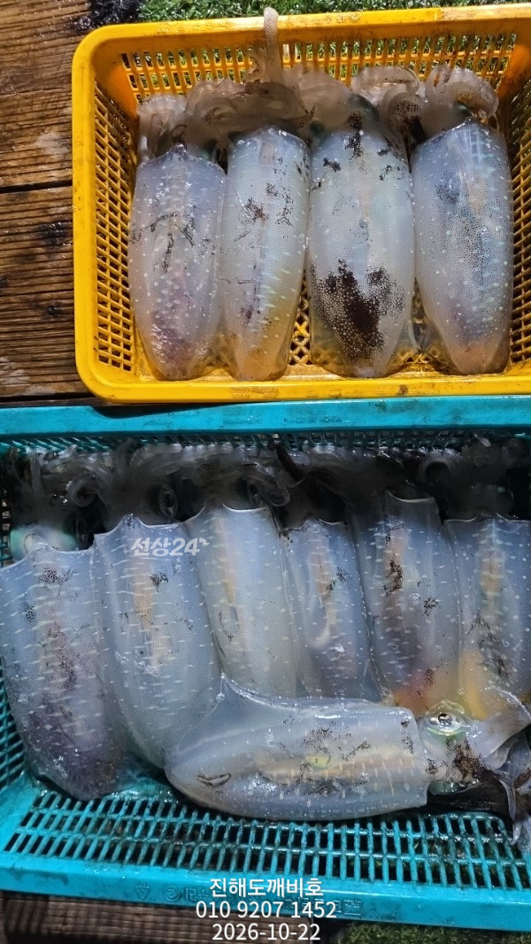 9786.jpg