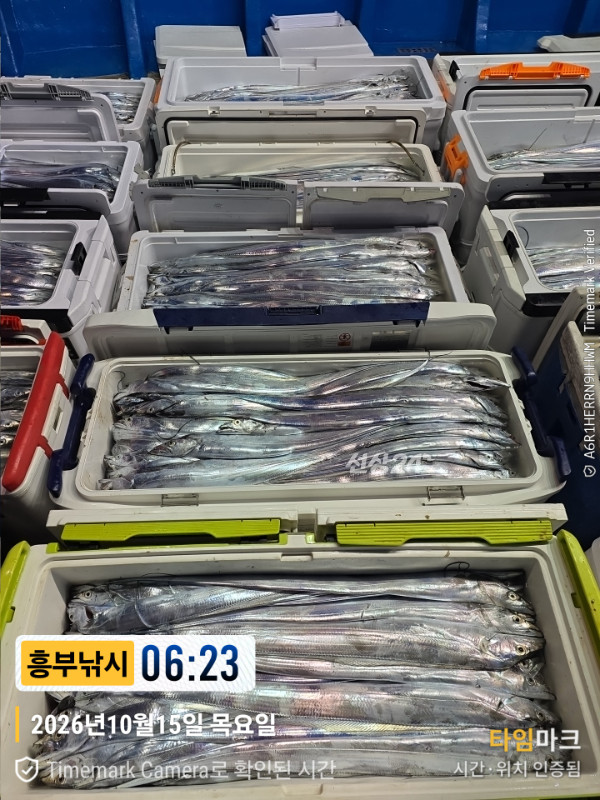 1792015129677.jpg