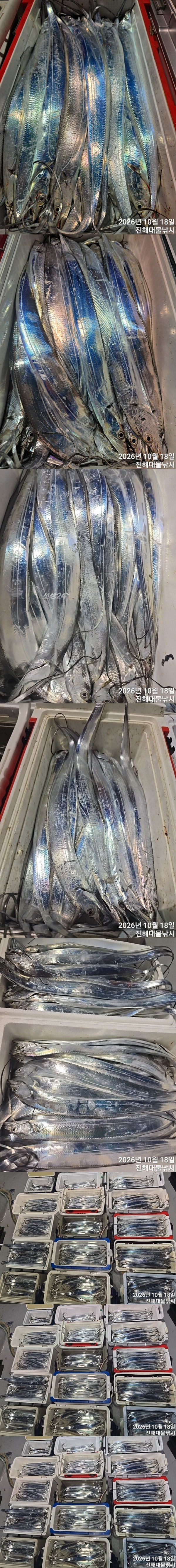 칼치5.jpg
