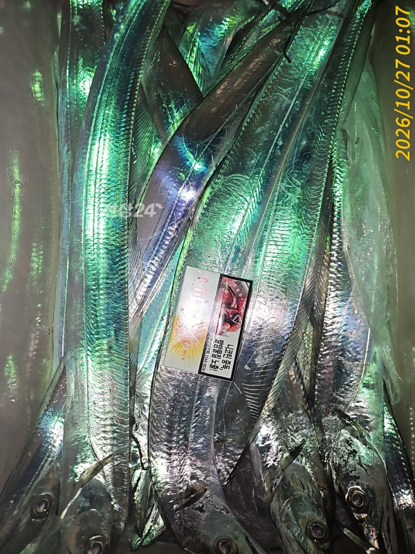 1000042109.jpg