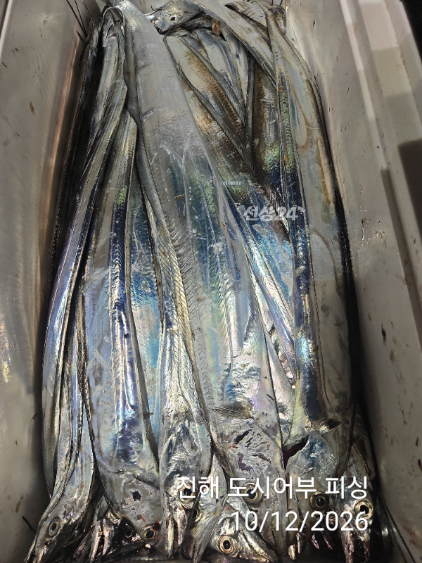 KakaoTalk_20261012_044857632_17.jpg