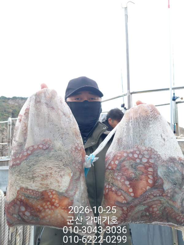 13041.jpg