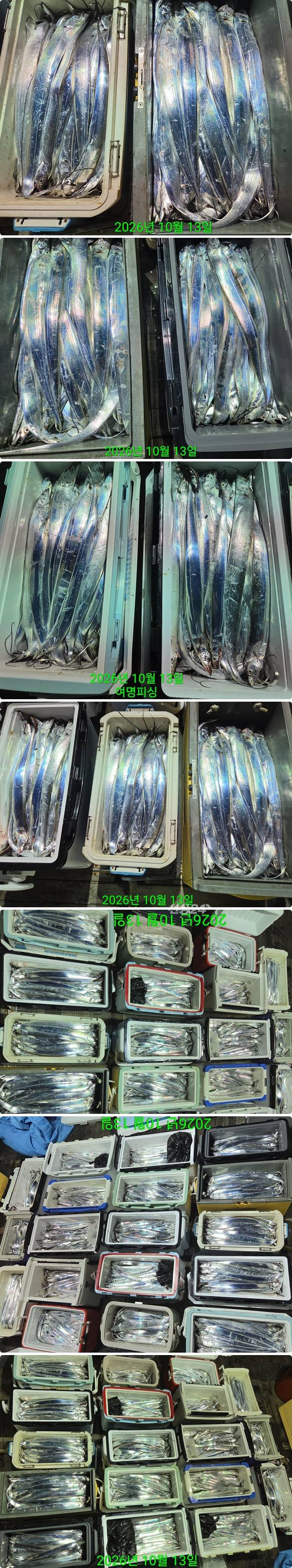 13일갈치하1.jpg