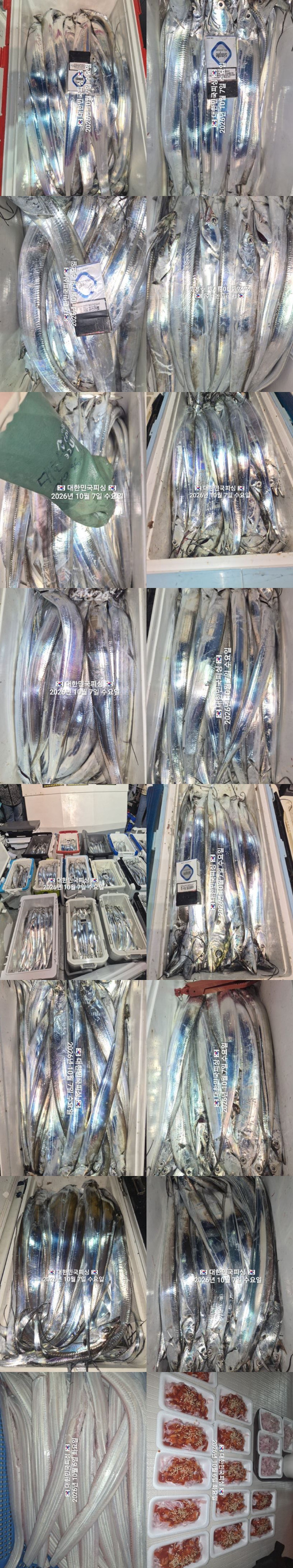 갈치2.jpg