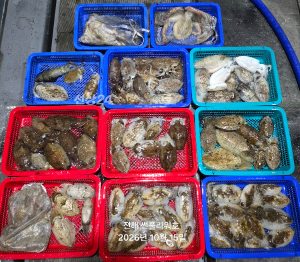 84894.jpg