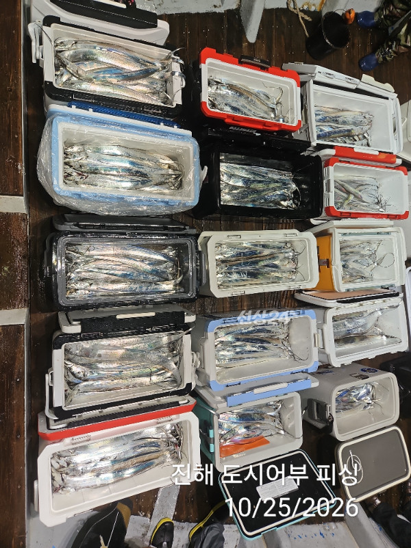 KakaoTalk_20261025_055616527_16.jpg