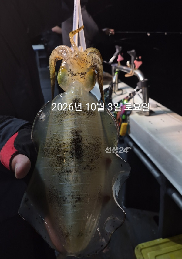 88911.jpg