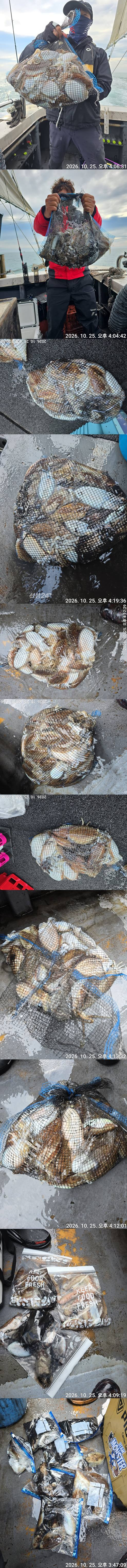[크기변환]KakaoTalk_20261025_185026152_01-vert.jpg