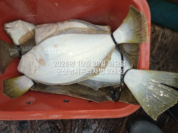 KakaoTalk_20261020_152311870_19.jpg