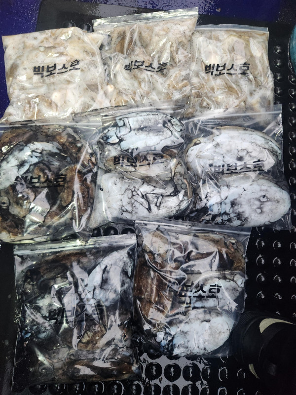 KakaoTalk_20261024_202826732_11.jpg