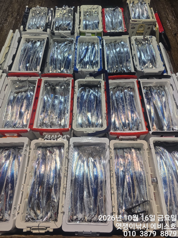 74716.jpg