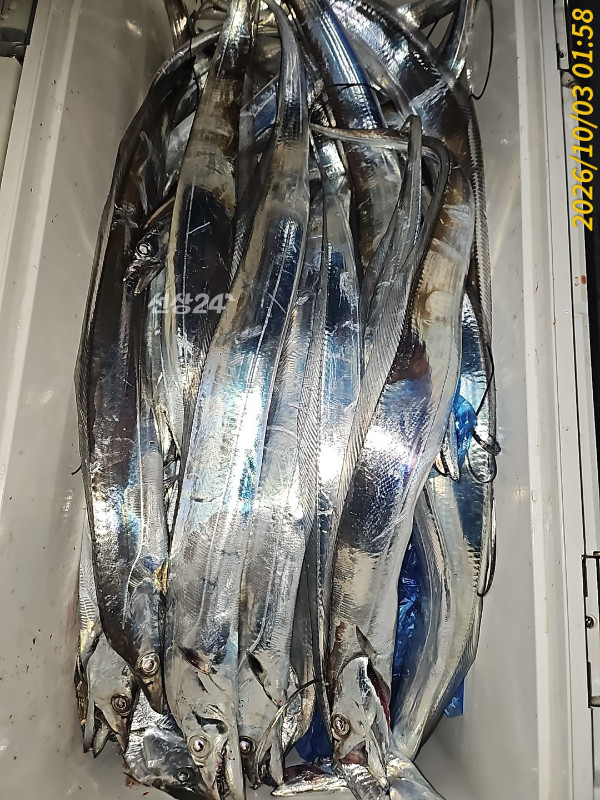 1000035916.jpg